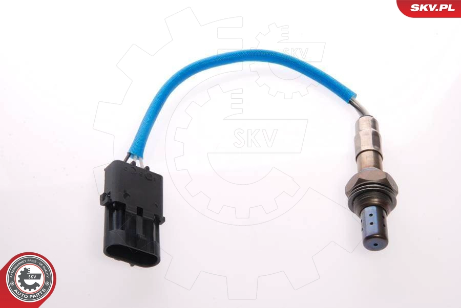 09SKV018