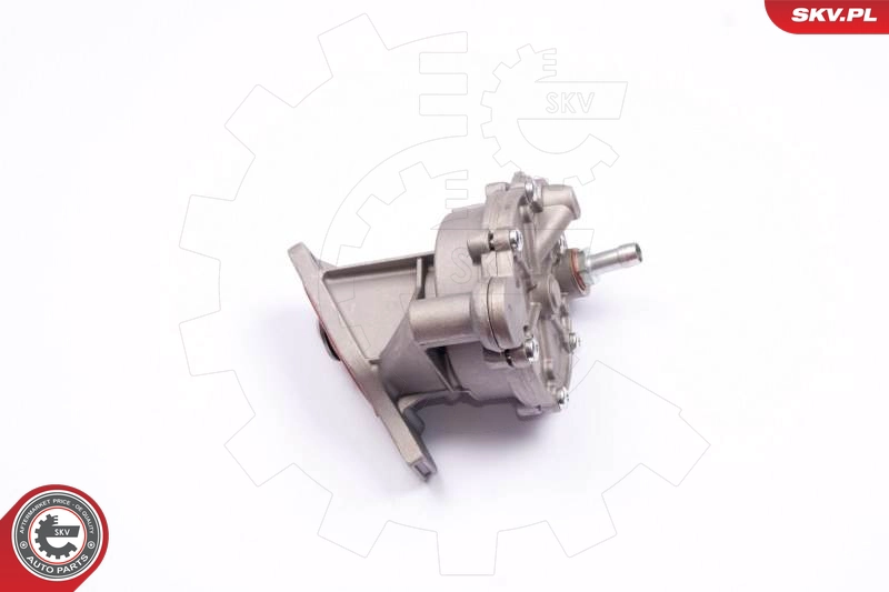 18SKV013