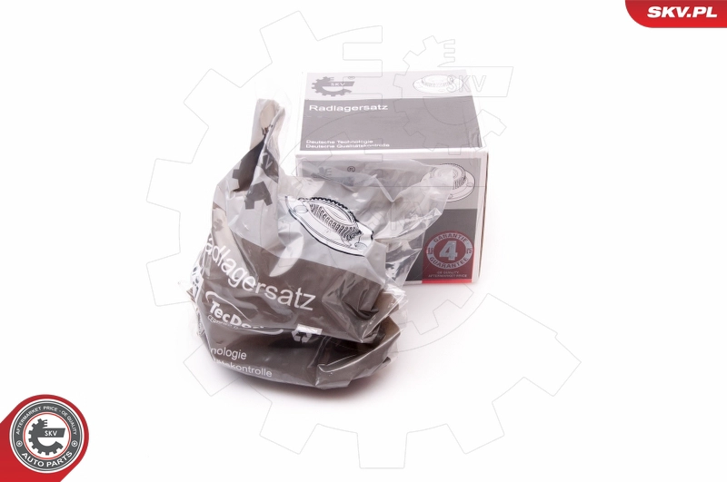 29SKV263