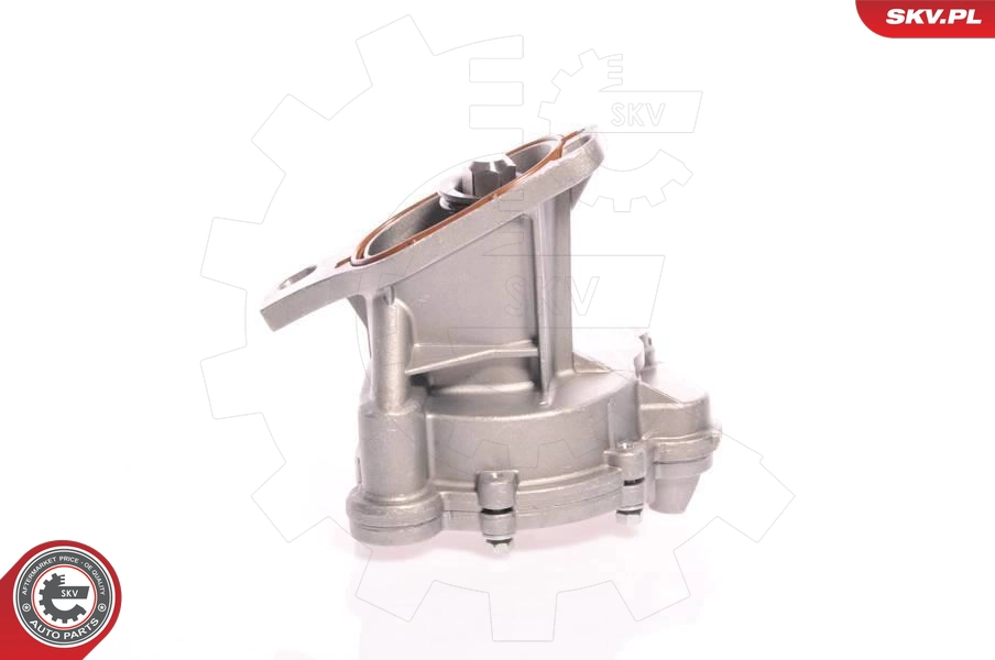18SKV006