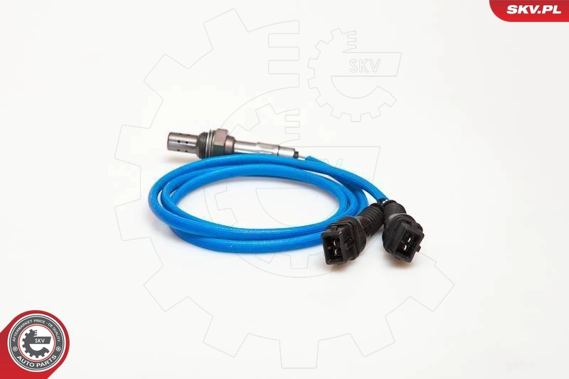 09SKV028