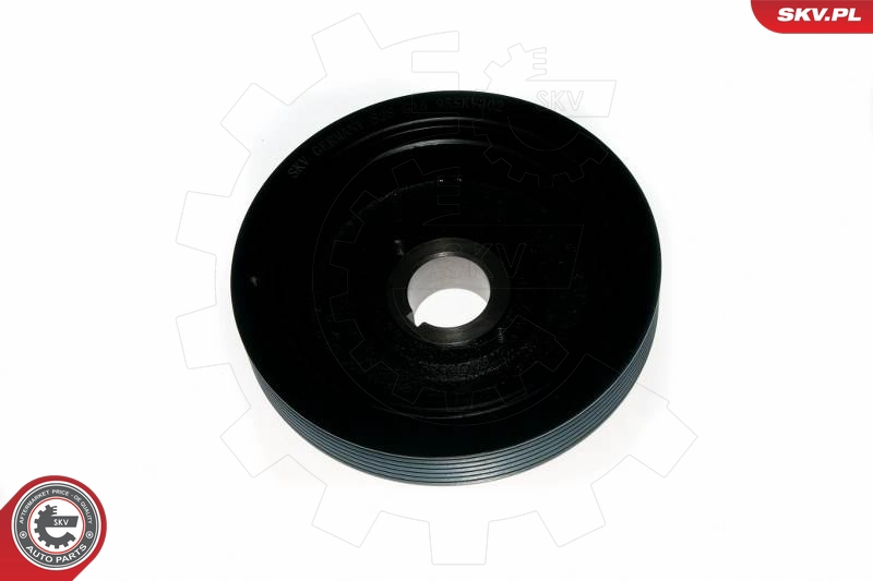 95SKV321