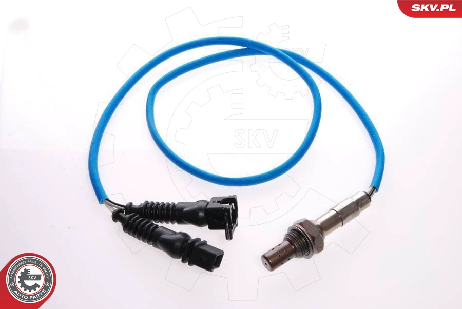 09SKV022