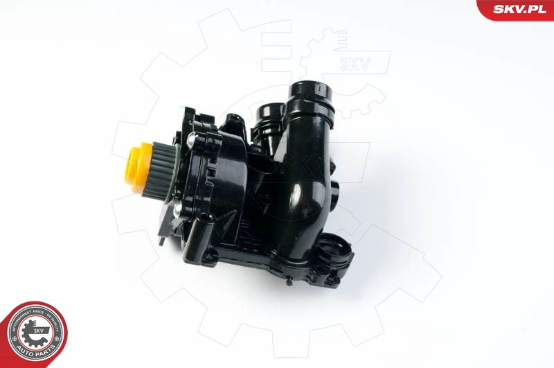 22SKV001