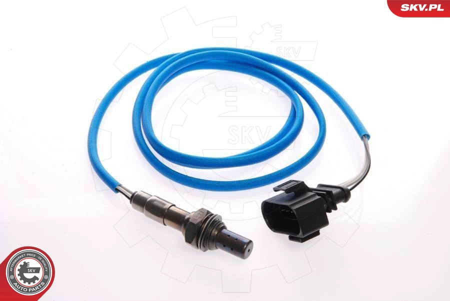 09SKV079