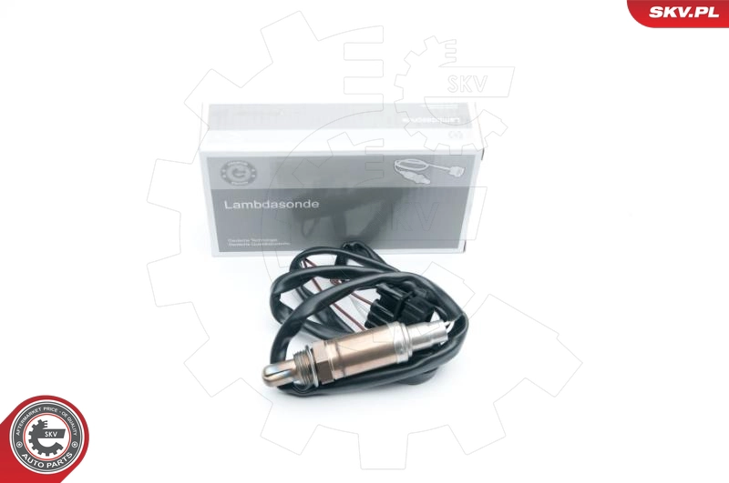 09SKV542