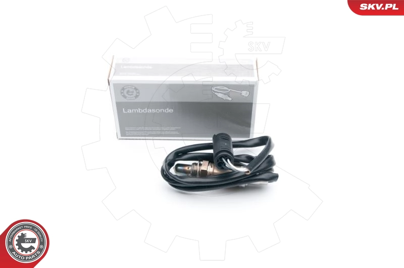 09SKV665