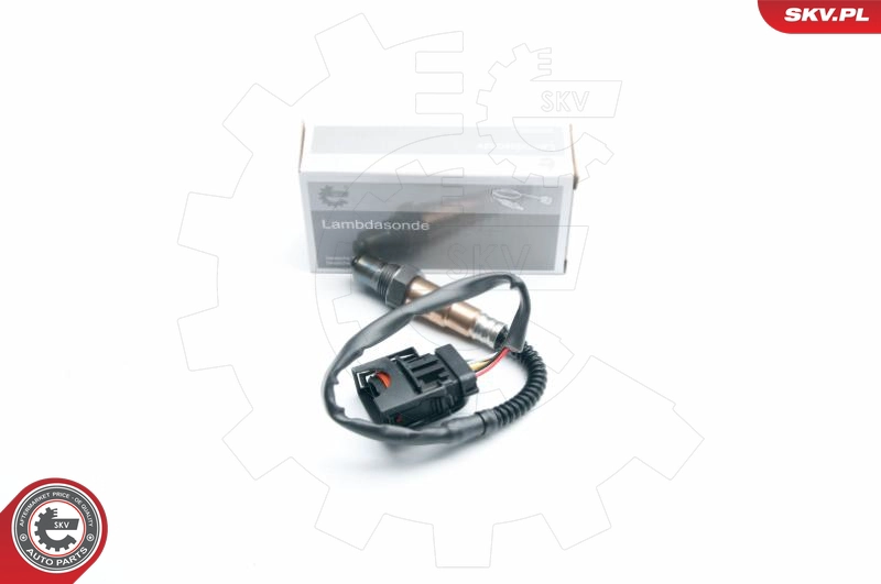 09SKV865