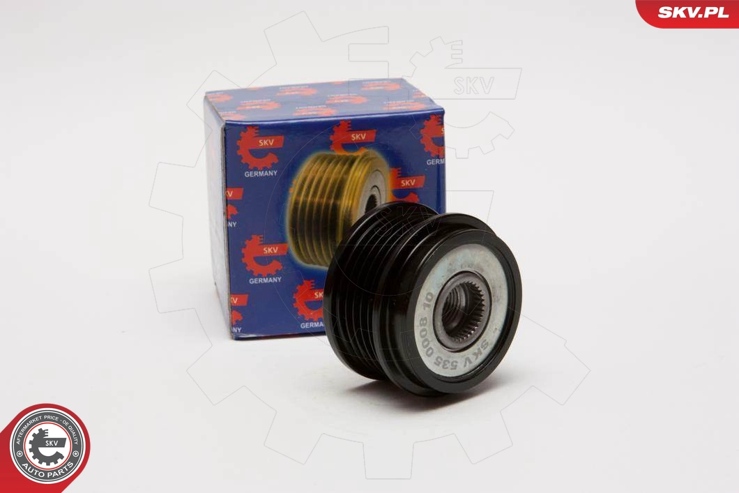 11SKV005