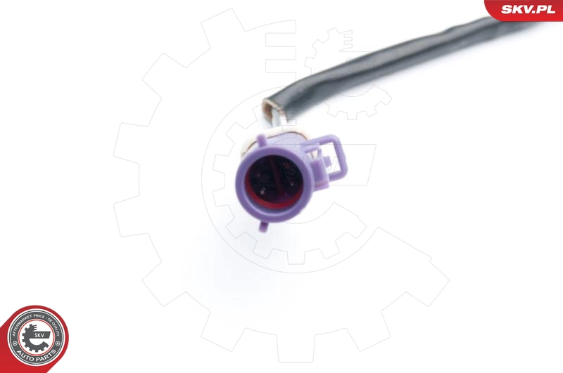 09SKV574