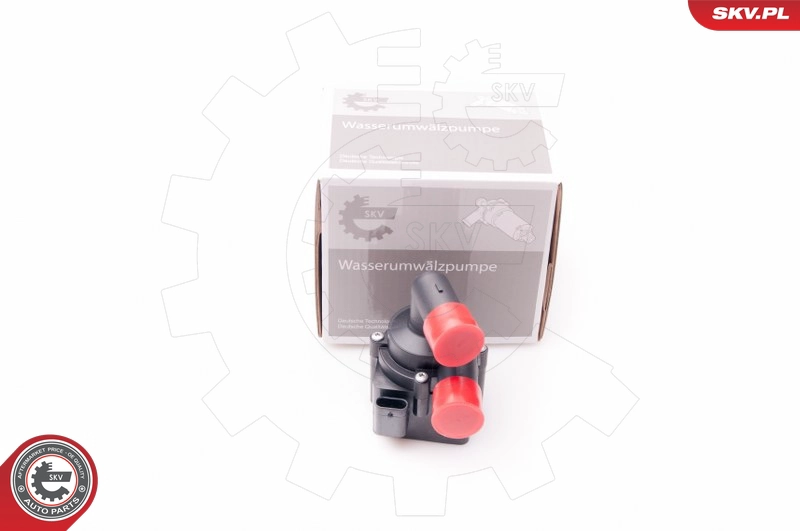 22SKV018