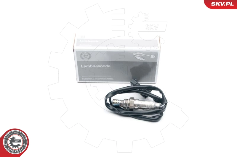 09SKV629
