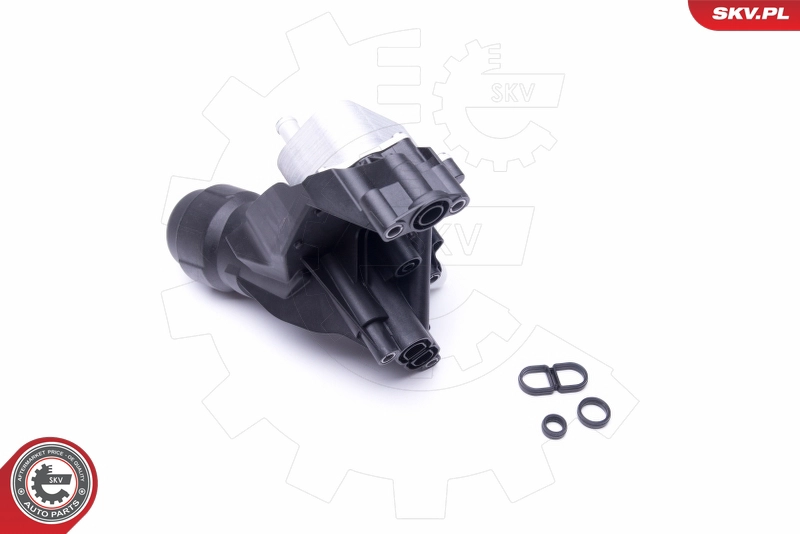 31SKV166