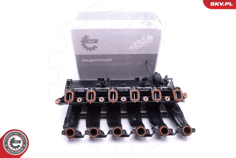 49SKV016