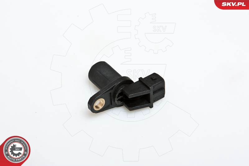 17SKV203