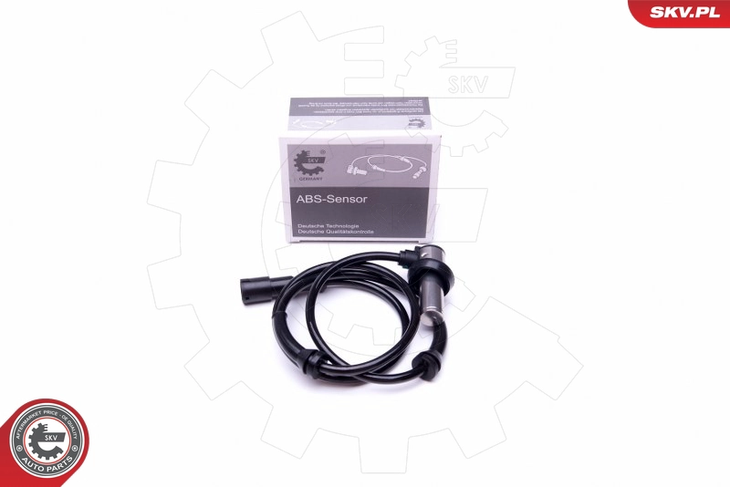 06SKV391