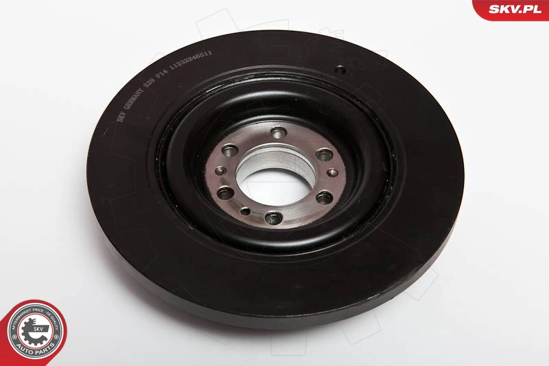 95SKV301