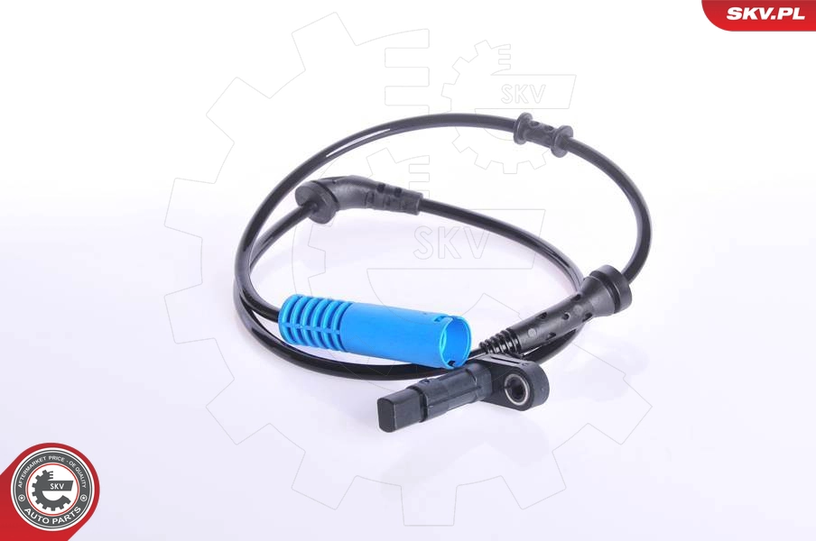 06SKV076