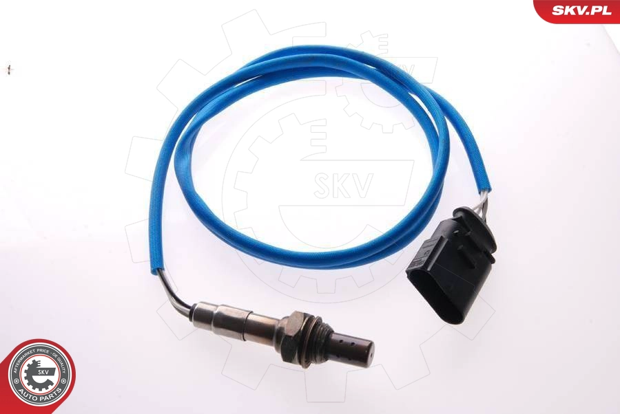 09SKV038