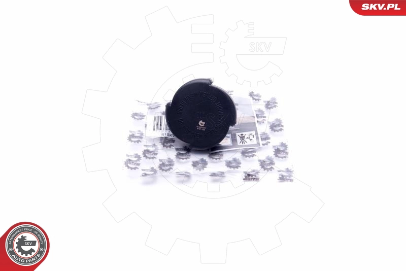 61SKV003
