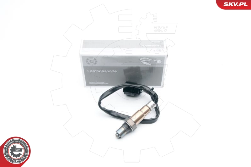 09SKV563