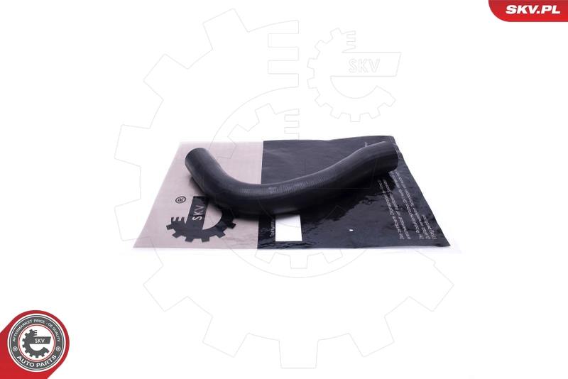 43SKV010