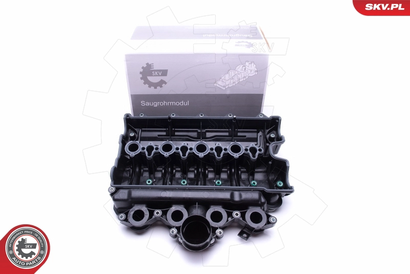 49SKV021