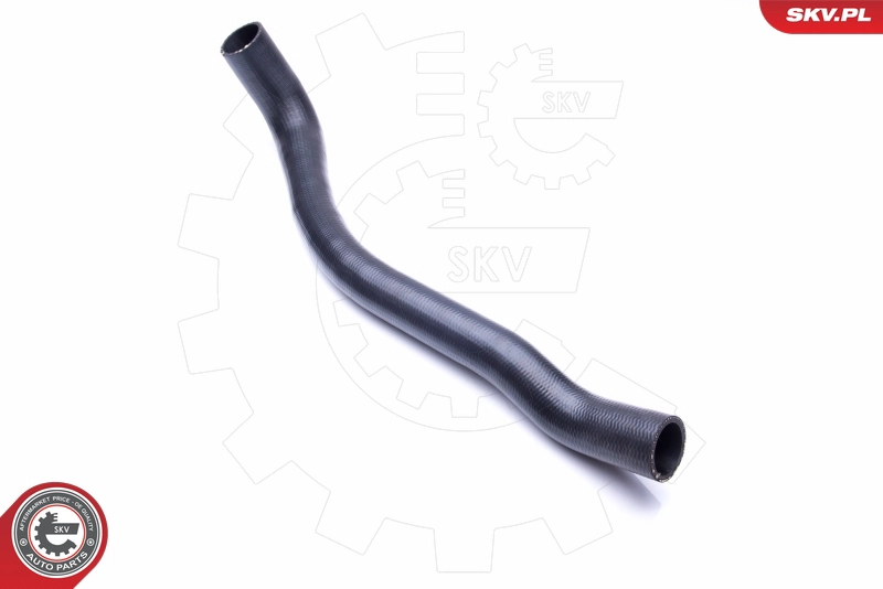 24SKV784