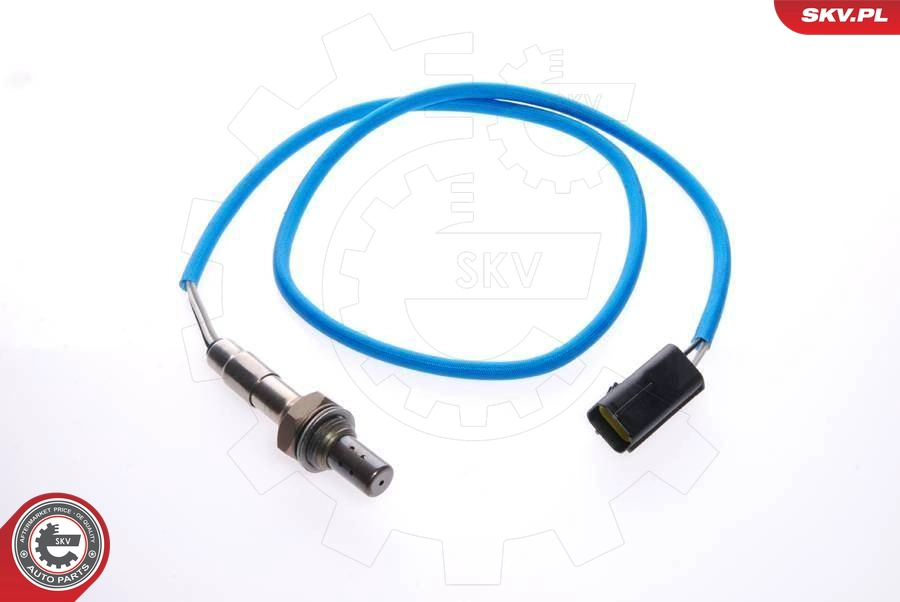 09SKV013
