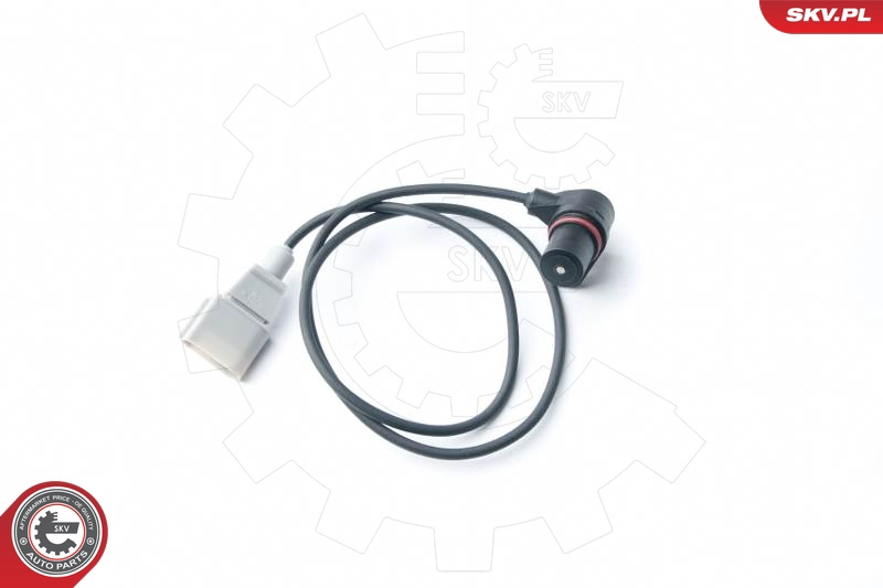 17SKV271