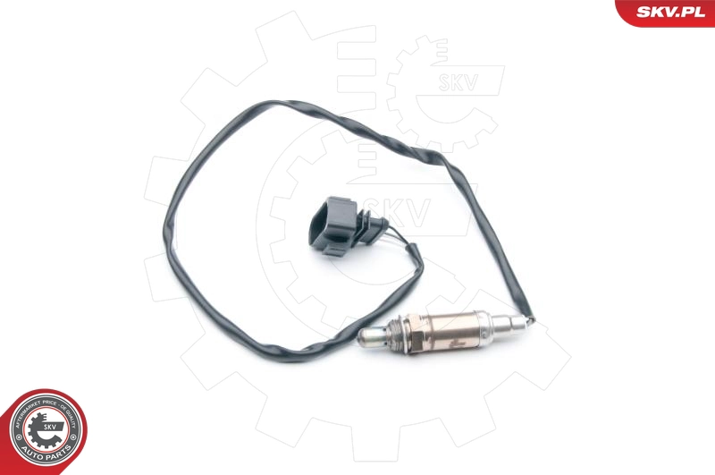 09SKV610