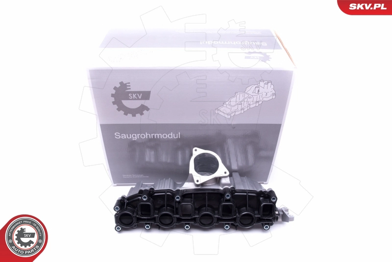 49SKV006