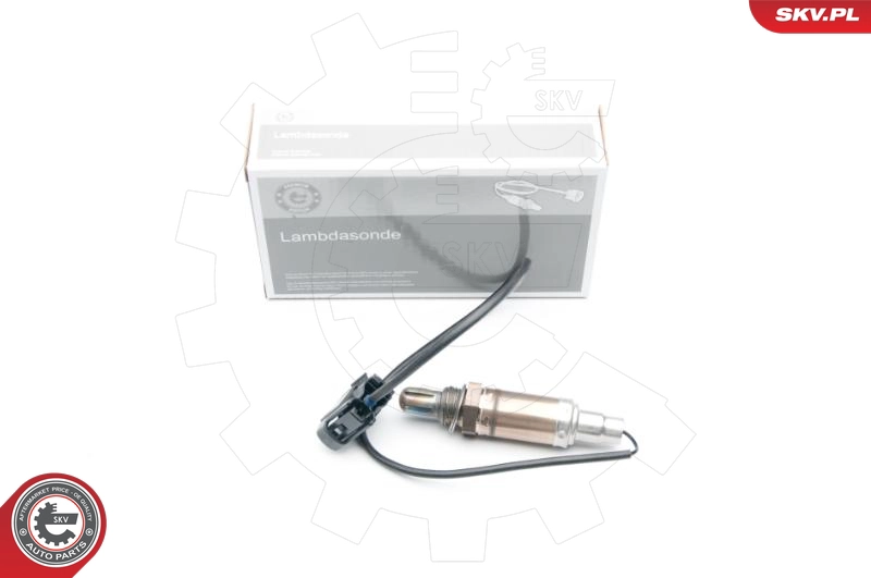 09SKV528