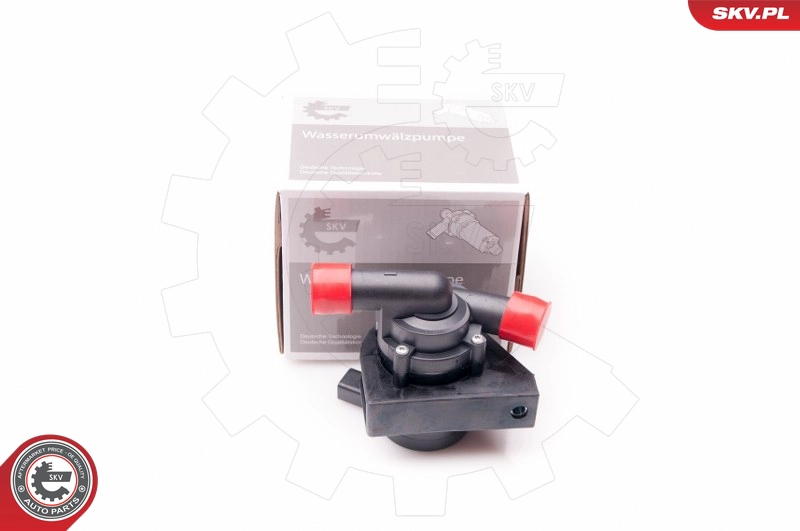 22SKV010