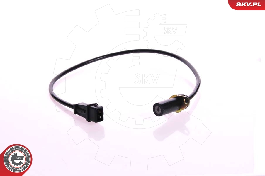 17SKV205