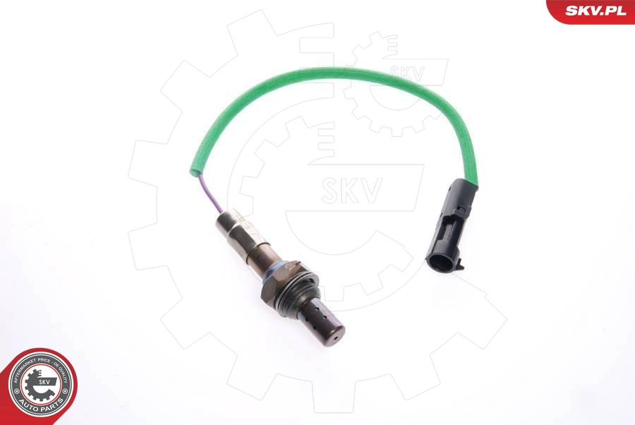 09SKV069