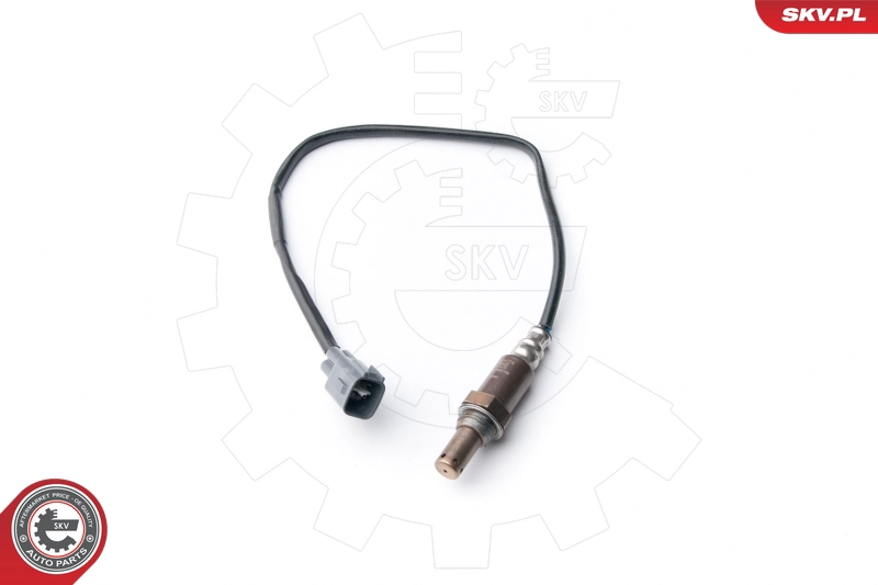 09SKV086