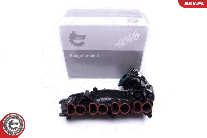 49SKV018