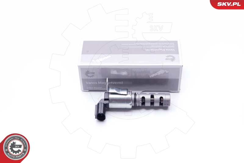 39SKV033