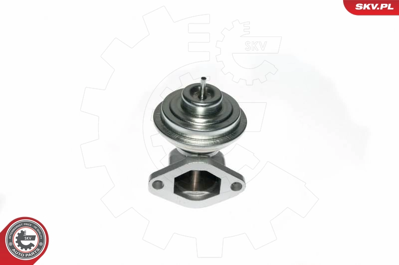 14SKV049