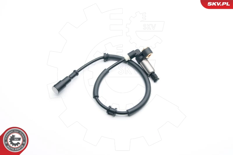 06SKV303