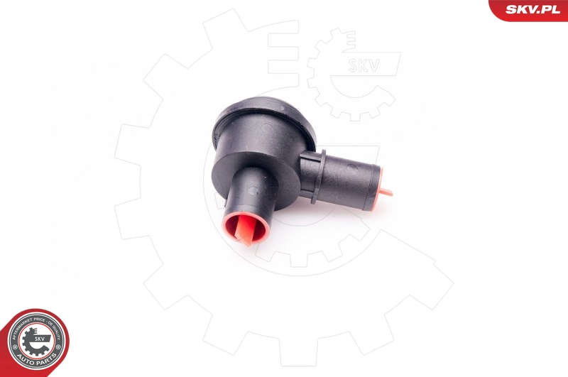 31SKV014