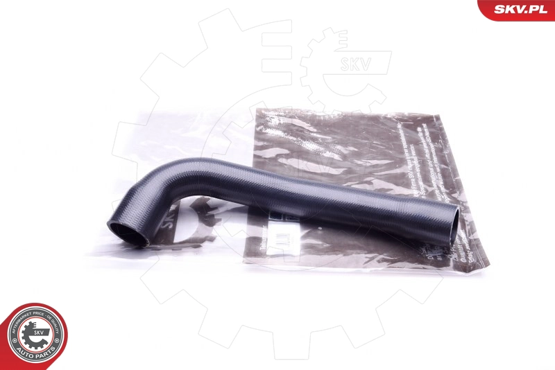 43SKV063