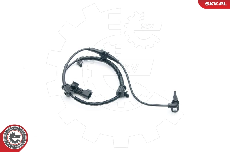 06SKV285