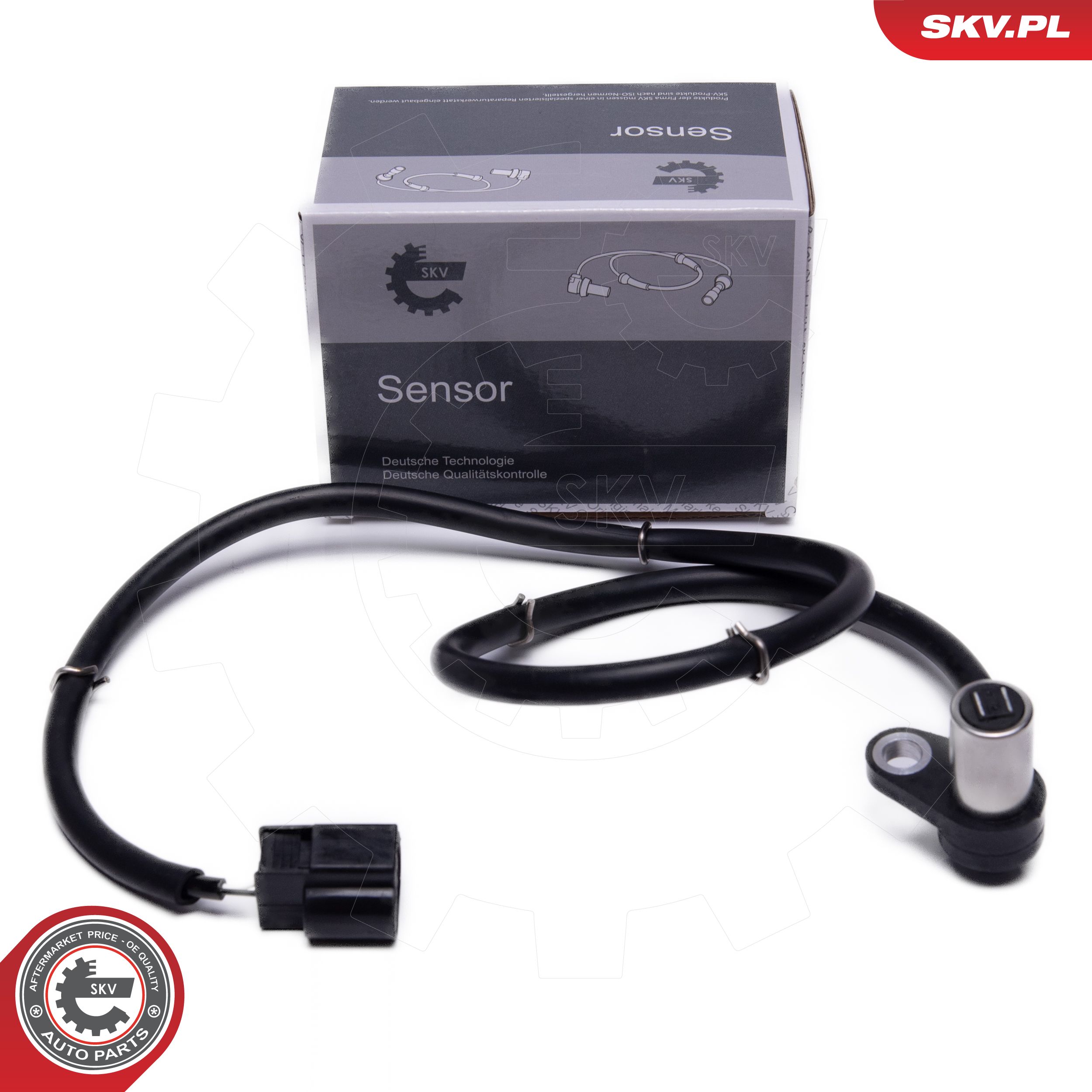06SKV493