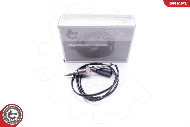 30SKV039
