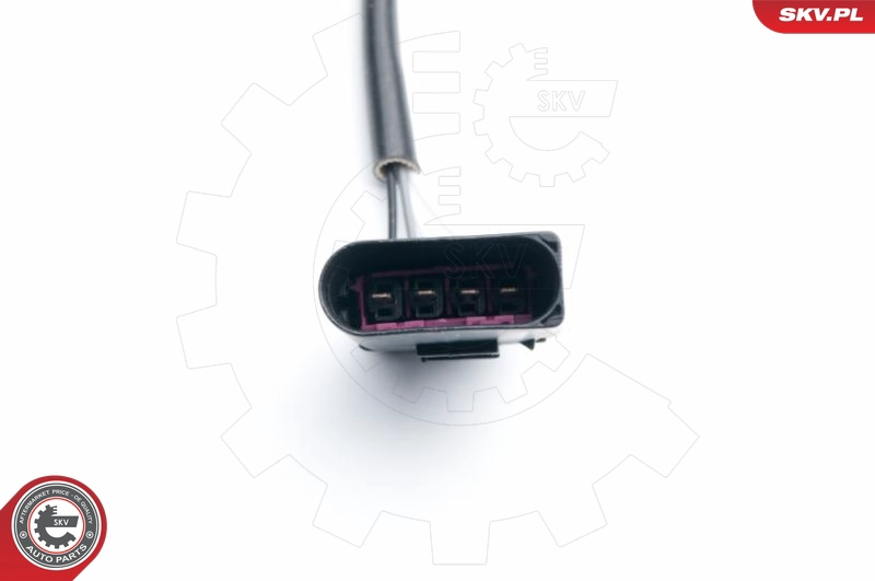 09SKV641