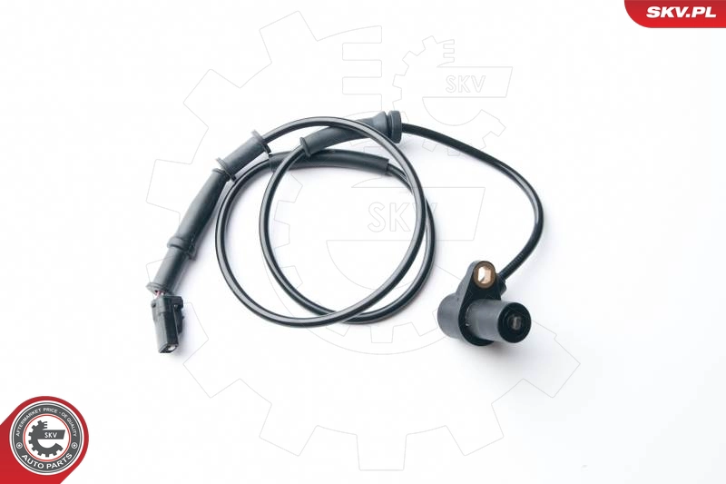 06SKV258