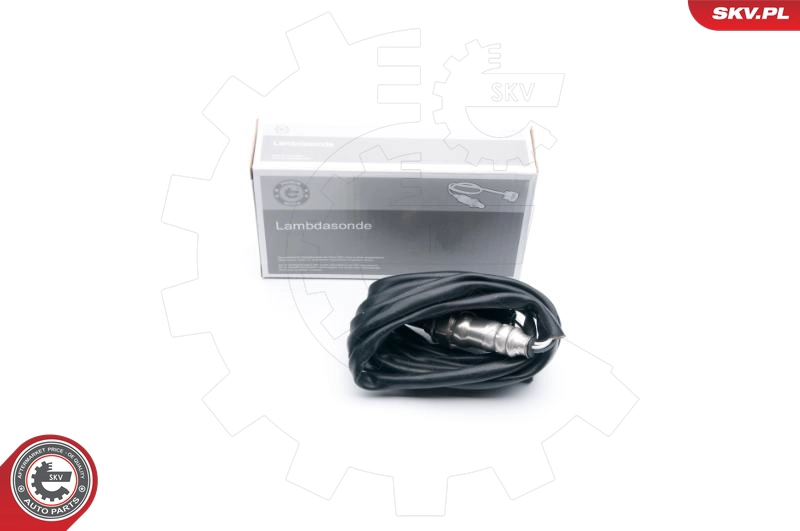 09SKV634