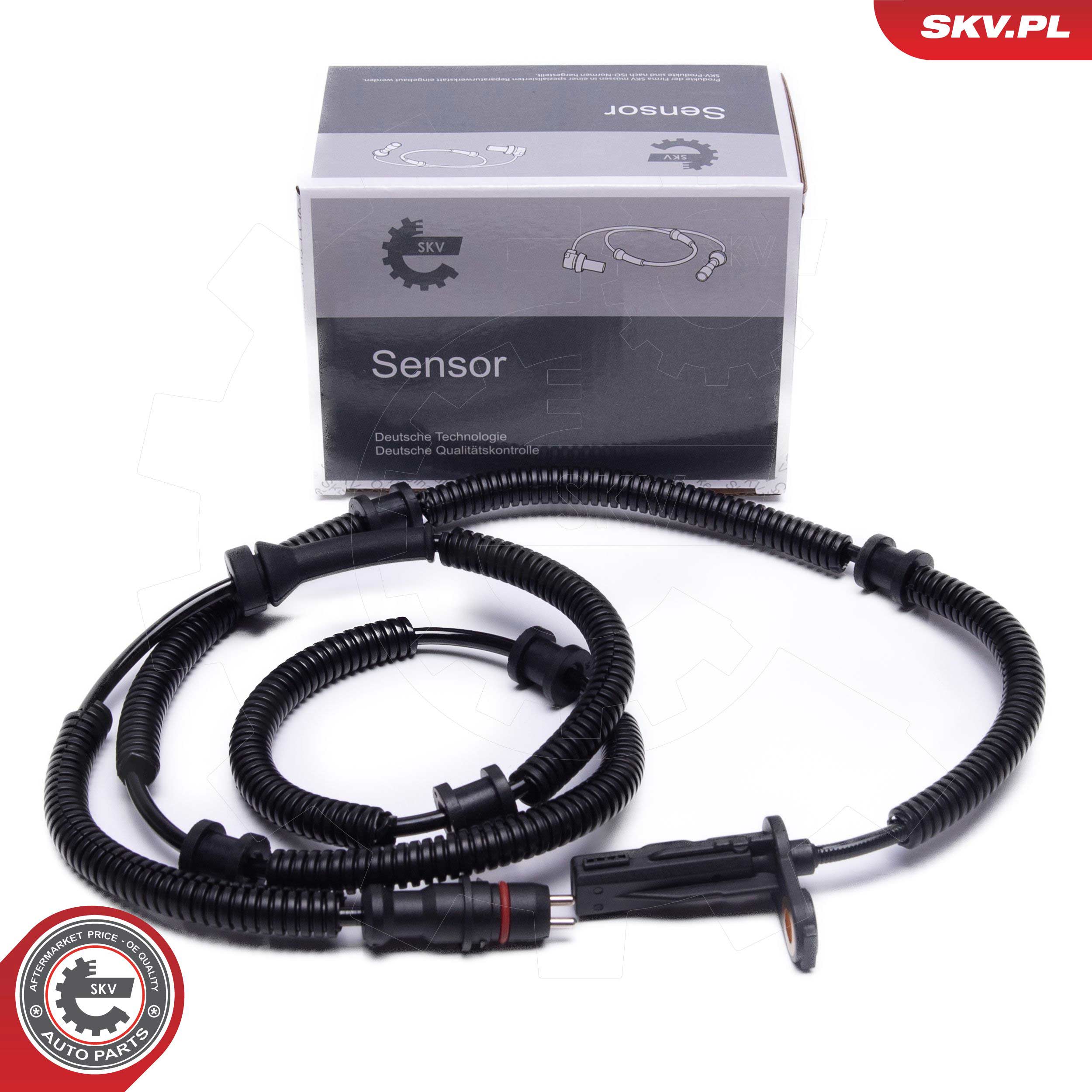 06SKV521